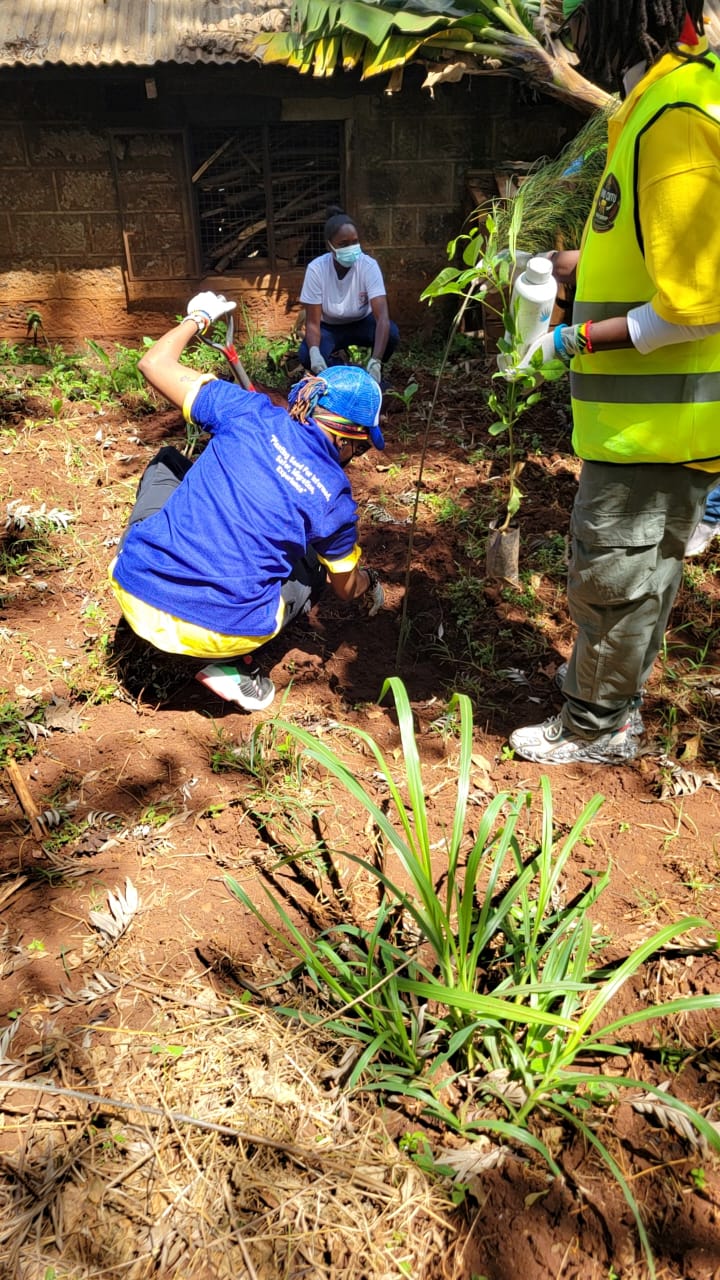 JJS team members in yellow vests conducting environmental work